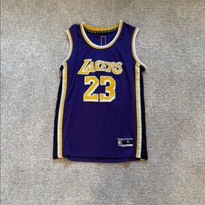 LeBron James Purple Lakers Jersey